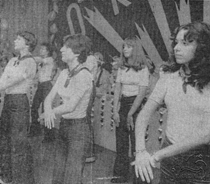 1977 6